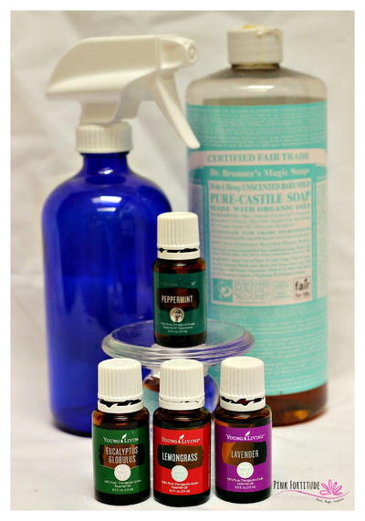 DIY Insect RepellerCleaner DIY Insect RepellerCleaner