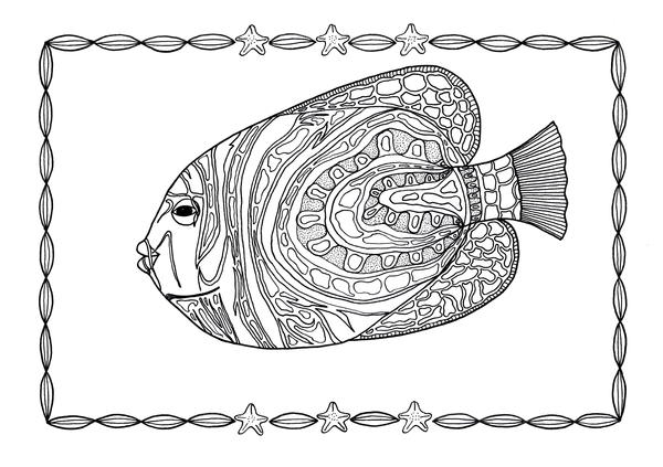 Angelfish Adult Coloring Page Angelfish Adult Coloring Page