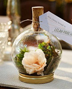 Striking DIY Terrarium Place Holders Striking DIY Terrarium Place Holders