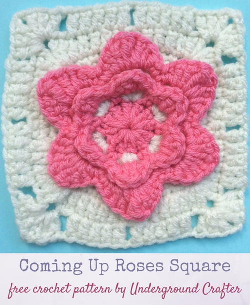 Coming Up Roses Square Coming Up Roses Square