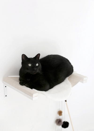 DIY Hammock for Cats DIY Hammock for Cats