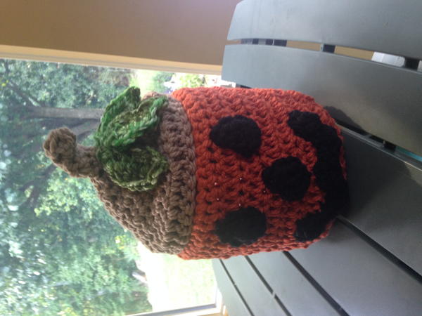 Pumpkin Basket Pumpkin Basket