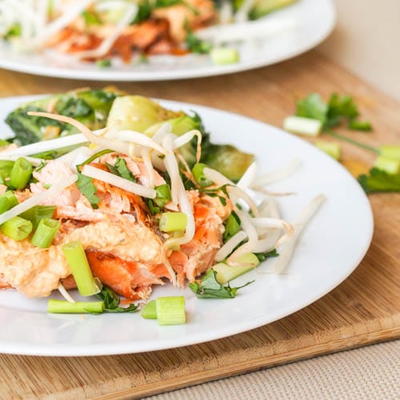 Broiled Red Curry Salmon with Bean Sprouts Broiled Red Curry Salmon with Bean Sprouts