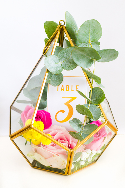 Adventurous Terrarium Table Numbers