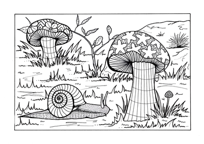 Forest Floor Adult Coloring Page