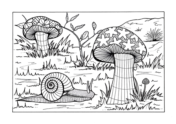 Forest Floor Adult Coloring Page Forest Floor Adult Coloring Page