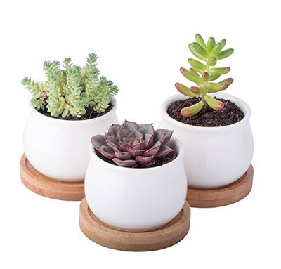StarPack Products 3-Piece Mini Planter Pots