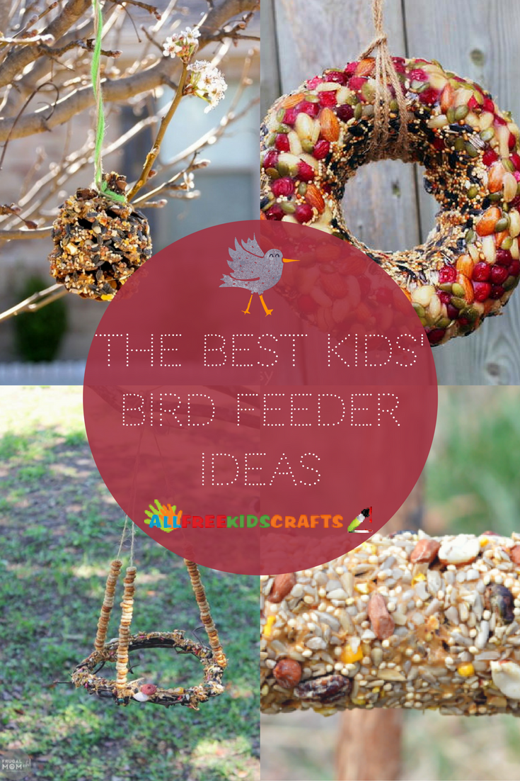 bird feeder designs for students