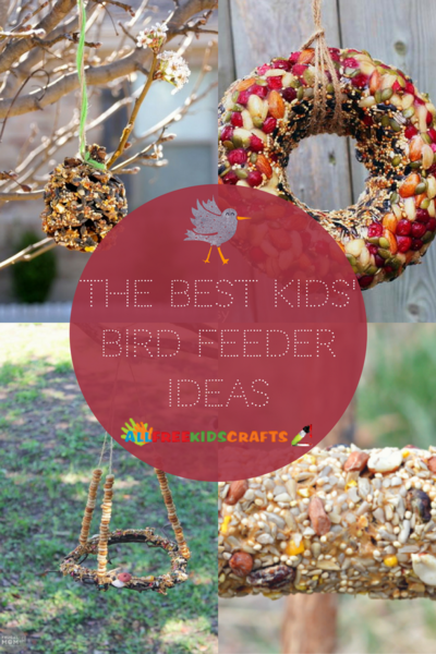 The Best Kids Bird Feeder Ideas