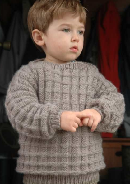 Little Boy's Woodland Sweater Little Boy's Woodland Sweater