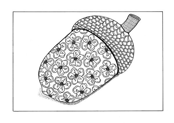 Fall Acorn Adult Coloring Page Fall Acorn Adult Coloring Page