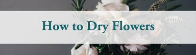 How to Dry Flowers How to Dry Flowers