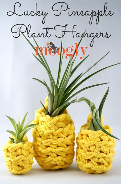 Lucky Pineapple Plant Hangers Lucky Pineapple Plant Hangers
