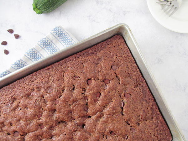 Chocolate Zucchini Cake Chocolate Zucchini Cake