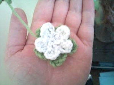 Love Me Tender Flowers Love Me Tender Flowers