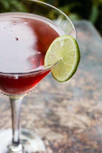 Cranberry Champagne Punch Cranberry Champagne Punch