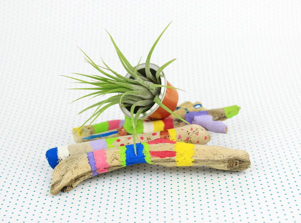 Diy Hand Painted Driftwood Planter Diy Hand Painted Driftwood Planter