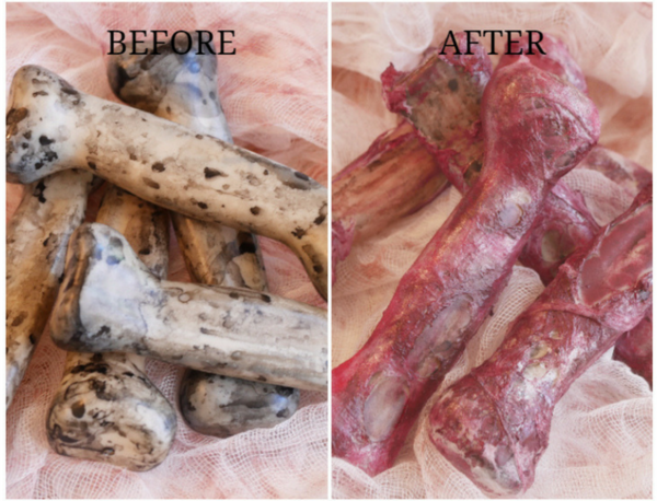 Halloween Bloody Bones Decoration Halloween Bloody Bones Decoration