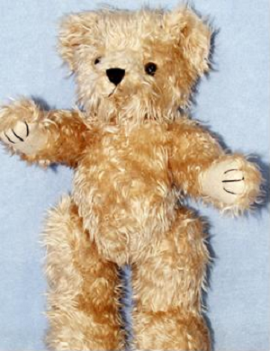 make a teddy bear