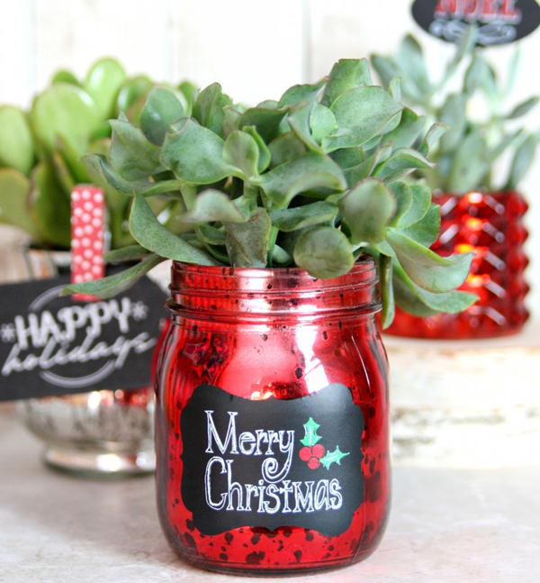 Easy Holiday Succulents Gift Easy Holiday Succulents Gift