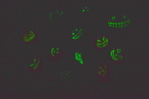 DIY Glow in the Dark Halloween Rocks DIY Glow in the Dark Halloween Rocks