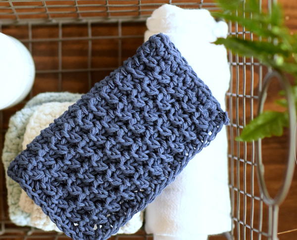 Hostess Dishcloth Hostess Dishcloth