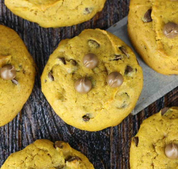 Super Soft Jumbo Pumpkin Chocolate Chip Cookies Super Soft Jumbo Pumpkin Chocolate Chip Cookies