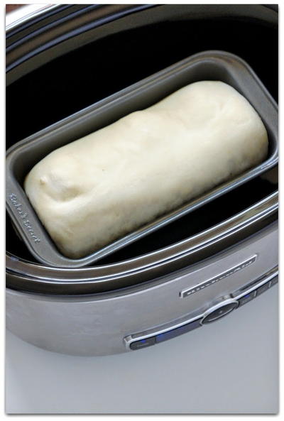 Raising Bread in Your Slow Cooker Raising Bread in Your Slow Cooker