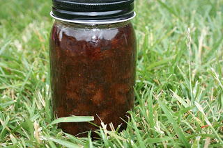 Slow Cooker Strawberry Jam Recipe