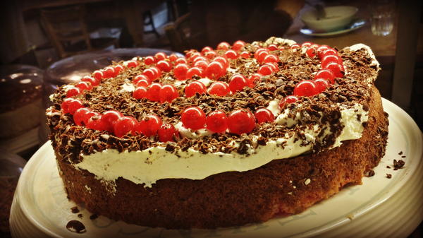 Chocolate Redcurrant Torte Chocolate Redcurrant Torte
