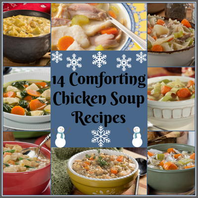 14 Comforting Chicken Soup Recipes