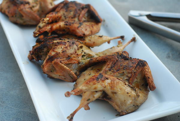 Grilled Quail Recipe Grilled Quail Recipe