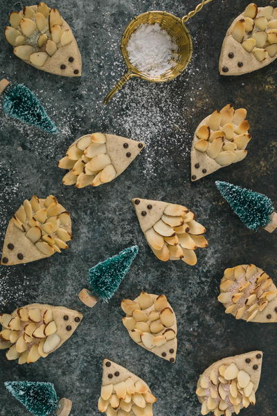 Pine Cone Hedge Hog Cookies Pine Cone & Hedge Hog Cookies