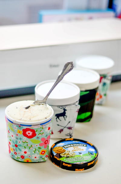 Easy Ice Cream Cozy Easy Ice Cream Cozy