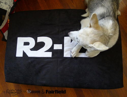 Star Wars-Inspired Dog Bed Star Wars-Inspired Dog Bed