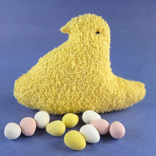 Easter Chickadee Bath Buddy Easter Chickadee Bath Buddy