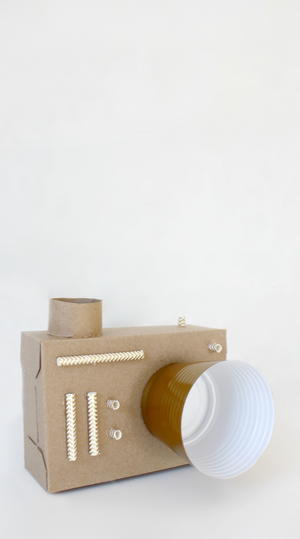 DIY cardboard camera 