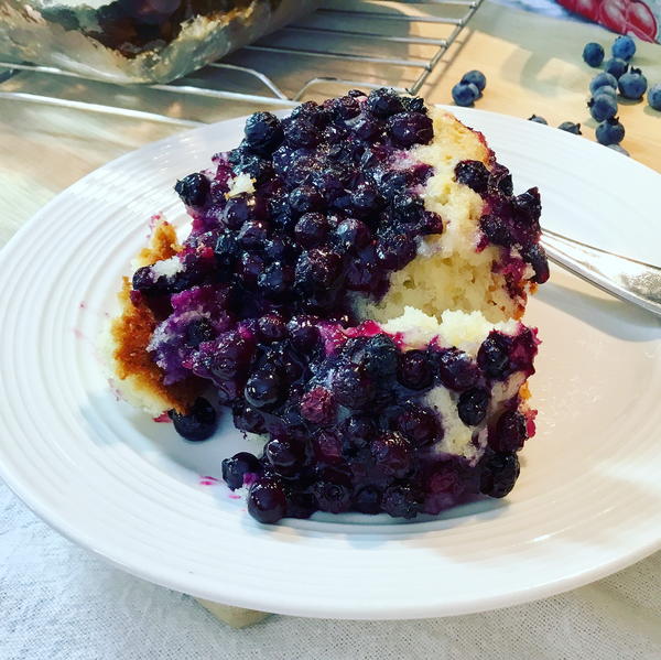 Blueberry Pudding Blueberry Pudding
