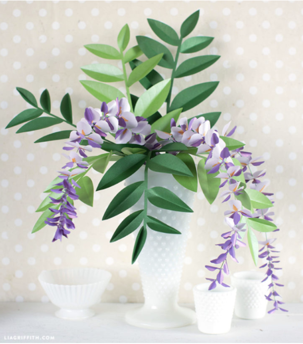 Paper Wisteria Plant Paper Wisteria Plant