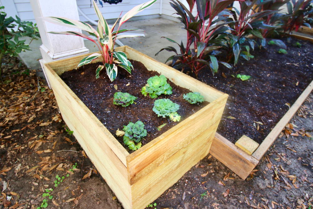 DIY Fence Post Planters