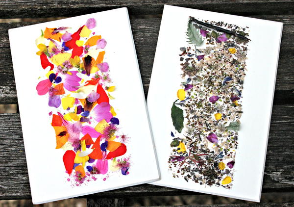 Sticky Nature Cards Sticky Nature Cards