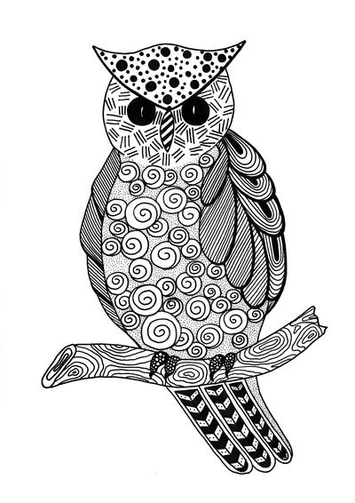 Zentangle Owl Adult Coloring Page Zentangle Owl Adult Coloring Page