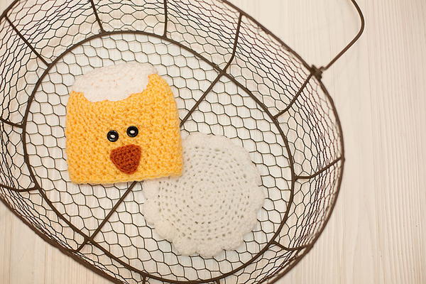 Chick and Egg Baby Chick and Egg Baby