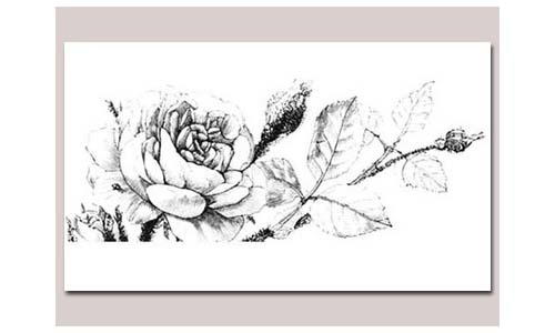 Large Vintage Floral to Colour Large Vintage Floral to Colour