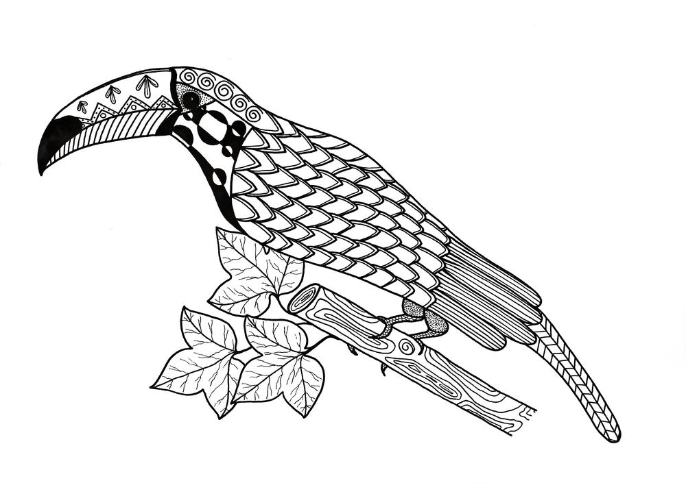 Toucan Coloring Page Favecrafts Com