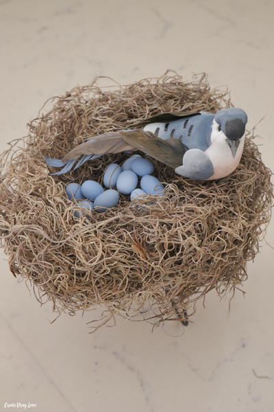 Dollar Store Bird's Nest