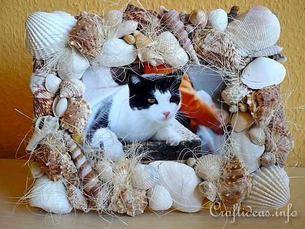 Seashells Picture Frame Seashells Picture Frame