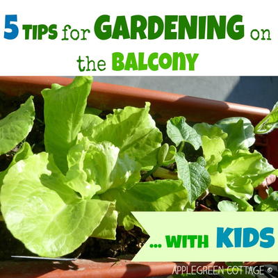 5 Tips To Start Gardening On the Balcony - With Kids