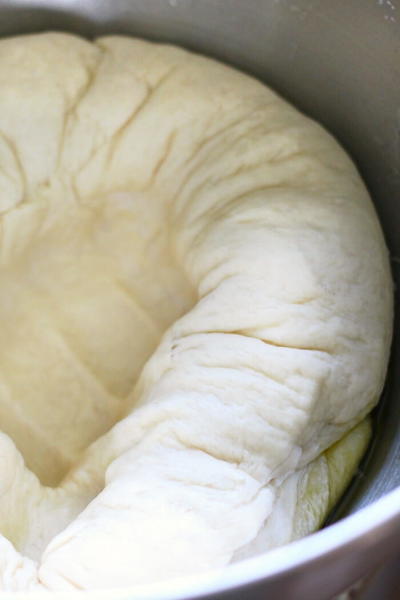 Homemade Pizza Dough Homemade Pizza Dough