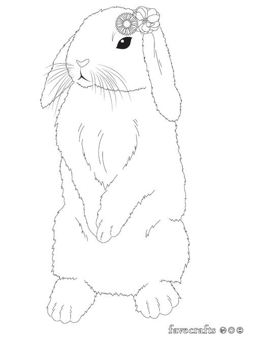 Flower Bunny Coloring Page Flower Bunny Coloring Page